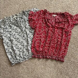 Max Studio (2) Red and Black Floral Blouses